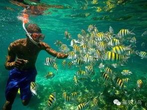 娱乐吃瓜酱飞鸟与鱼,娱乐吃瓜酱的甜蜜邂逅  第3张