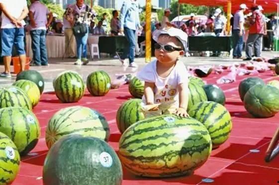 吃瓜大赛在线,一场全民参与的美食盛宴 第2张 吃瓜大赛在线,一场全民参与的美食盛宴 第2张