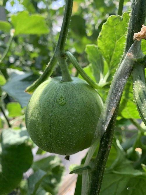 娱乐吃瓜封面如何做的,如何抓住眼球,吸引粉丝 第2张 娱乐吃瓜封面如何做的,如何抓住眼球,吸引粉丝 第2张