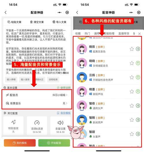 娱乐吃瓜用的配音软件,娱乐吃瓜必备神器 第2张 娱乐吃瓜用的配音软件,娱乐吃瓜必备神器 第2张