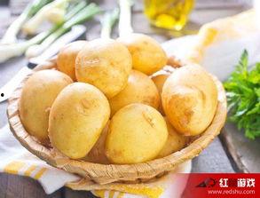 娱乐吃瓜小金土豆 第1张 娱乐吃瓜小金土豆 第1张