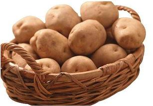 娱乐吃瓜小金土豆 第3张 娱乐吃瓜小金土豆 第3张