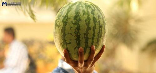 在哪吃娱乐圈的瓜,揭秘“在哪吃”独家瓜料 第3张 在哪吃娱乐圈的瓜,揭秘“在哪吃”独家瓜料 第3张