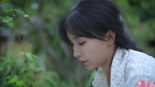 八卦娱乐吃瓜柒柒,揭秘吃瓜柒柒背后的故事  第2张