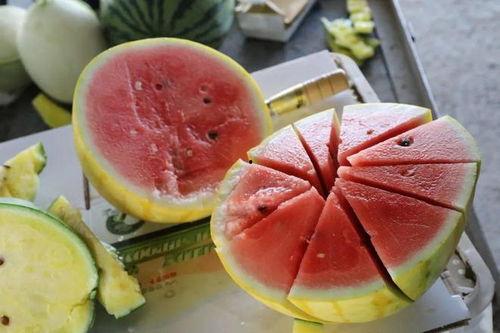 小嘉娱乐吃瓜,揭秘娱乐圈最新吃瓜事件,带你领略明星幕后故事 第2张 小嘉娱乐吃瓜,揭秘娱乐圈最新吃瓜事件,带你领略明星幕后故事 第2张