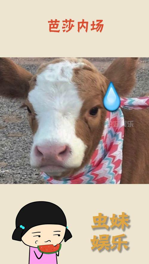 娱乐吃瓜酱音乐,盘点流行乐坛的甜蜜与苦涩瞬间 第1张 娱乐吃瓜酱音乐,盘点流行乐坛的甜蜜与苦涩瞬间 第1张